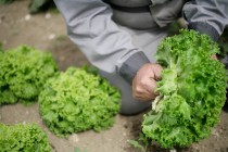 Kmetija Jarc – po domače pr' Markcu, TO SMO MI, Naravnost od pridelovalca, Lokalni dobavitelj, SPAR