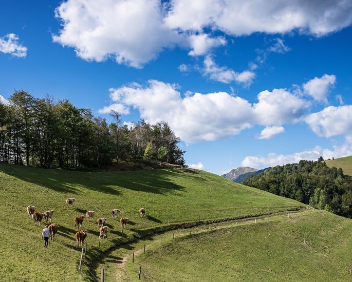 Kmetijsko-gozdarska zadruga Idrija, Družinska kmetija Jeram, To smo mi, naravnost od pridelovalca