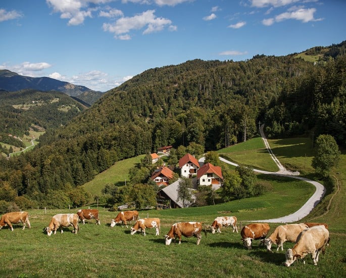 Kmetijsko-gozdarska zadruga Idrija, Družinska kmetija Jeram, To smo mi, naravnost od pridelovalca