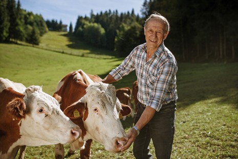 Koroška kmetijsko-gozdarska zadruga, Kmetija Mrak, To smo mi, naravnost od pridelovalca