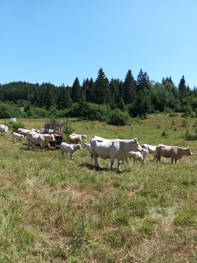 Ekološka kmetija Košmrlj Metod Ekološka kmetija Košmrlj Metod