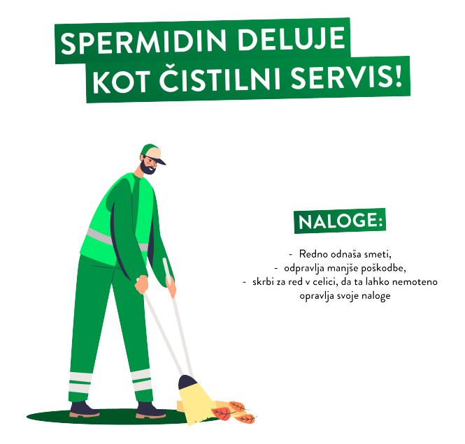 Grafika čistilca smeti