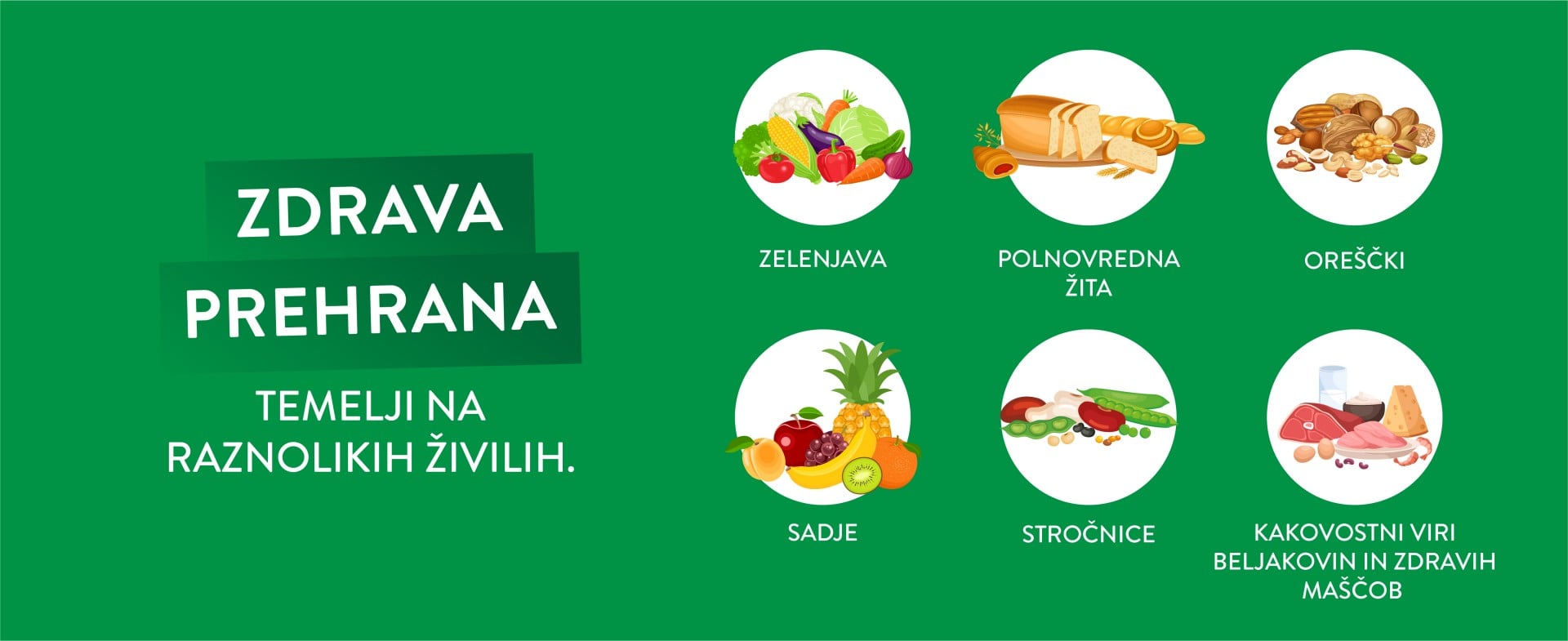 Zdrava prehrana, predstavitev raznolikih živil, infografika 