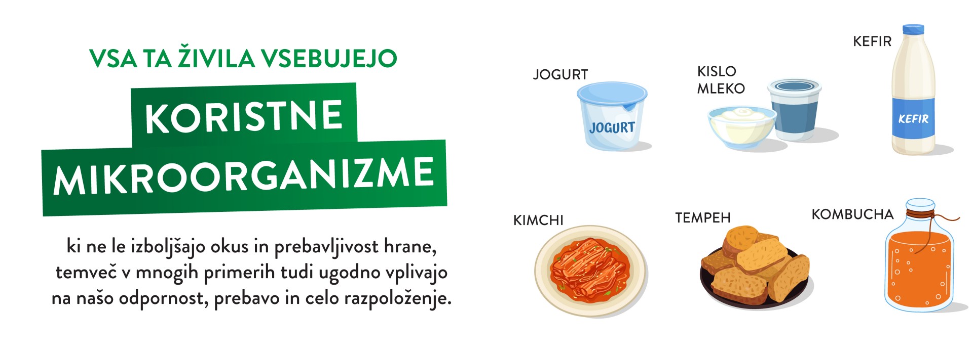 Koristni mikroorganizmi v živilih