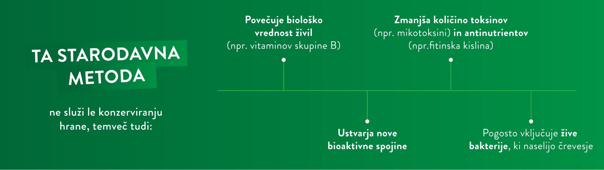 Kaj sploh je fermentacija?