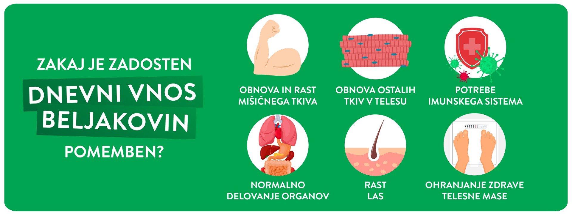 Zakaj je zadosten dnevni vnos beljakovin pomemben? Infografika - zakaj je zadosten dnevni vnos beljakovin pomemben?