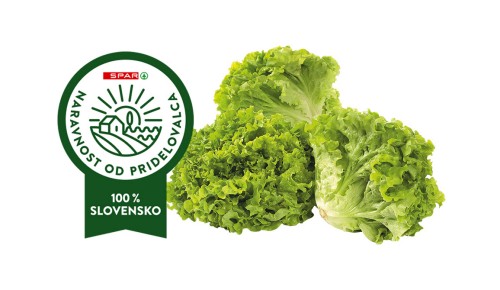 SOLATA KRISTALKA GENTILE