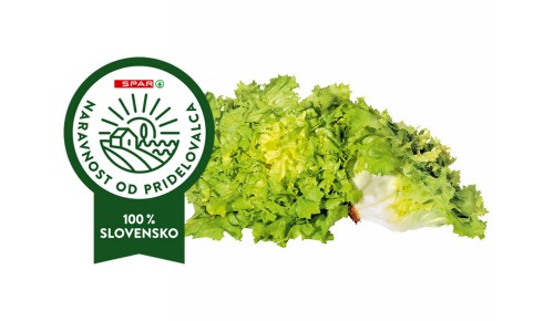 SOLATA ENDIVIJA, TEHTANO, ENOTA 800G