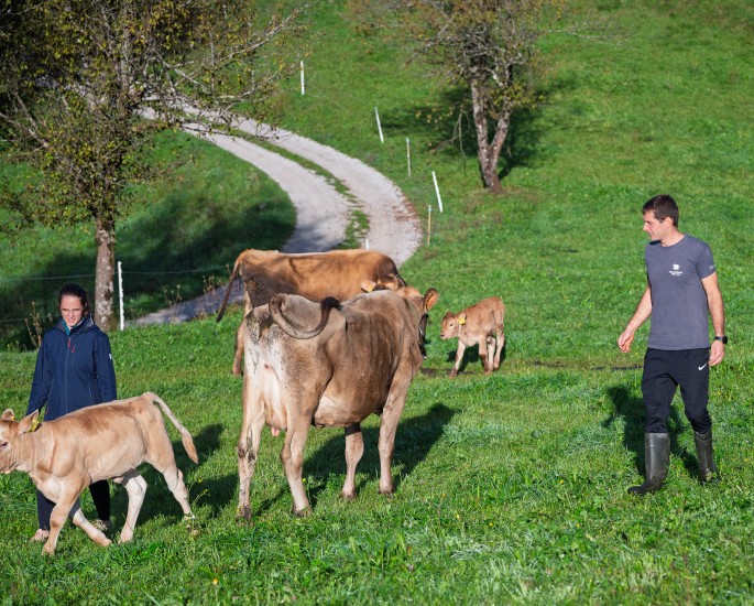 Kmetija Kogovšek v domačem okolju