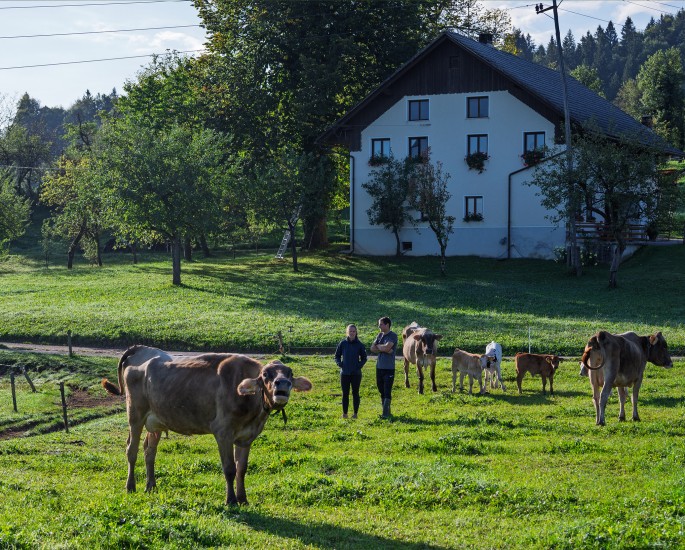 Kmetija Kogovšek v domačem okolju
