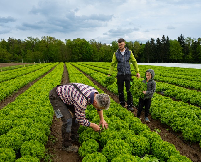 Kmetija Studen z izdelki v domačem okolju
