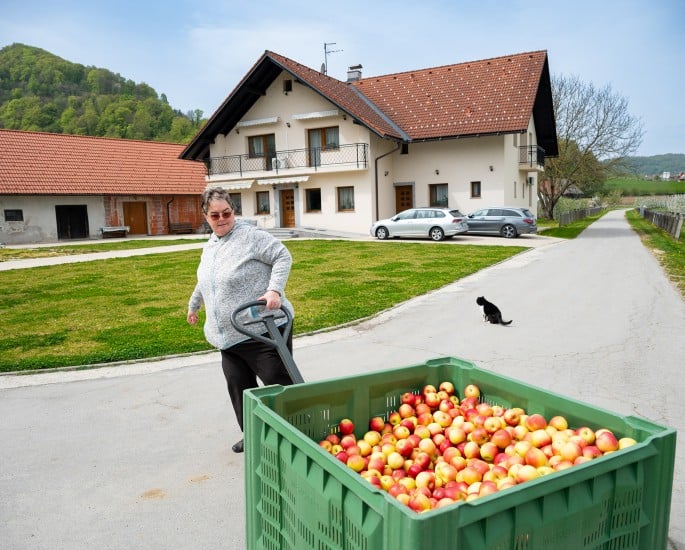 Kmetija Hudina v domačem okolju