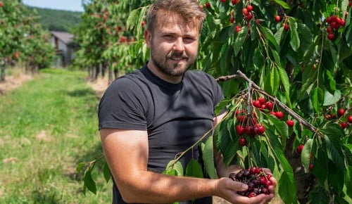 Naravnost od pridelovalca - Univerzitetni kmetijski center FKBV UM
