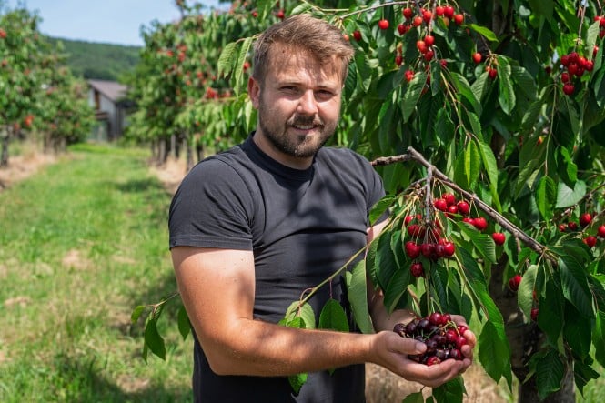 Naravnost od pridelovalca - Univerzitetni kmetijski center FKBV UM