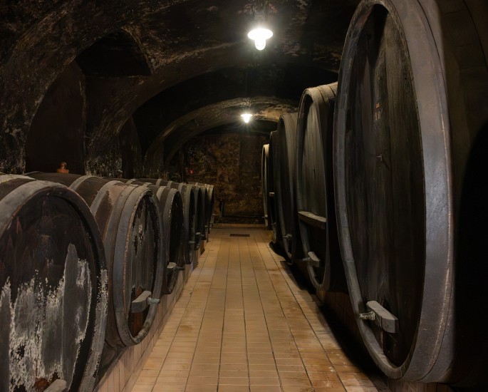 VINSKA KLET VINAG 1847 v domačem okolju z izdelki