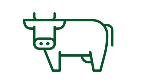 Krava, Slovensko meso - podpirajmo domače, SPAR