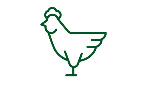 Kokoška, Slovensko meso - podpirajmo domače, SPAR