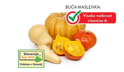 SLOVENSKE BUČE maslenke, muškatne ali hokaido
