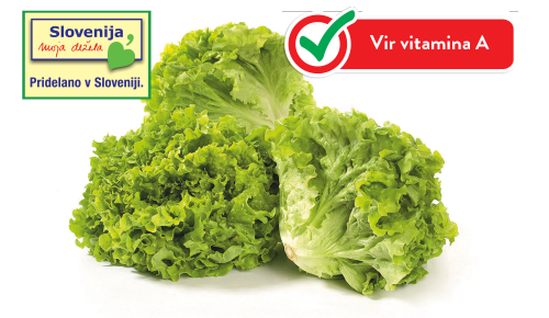Slovenska solata Gentile