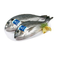 orada