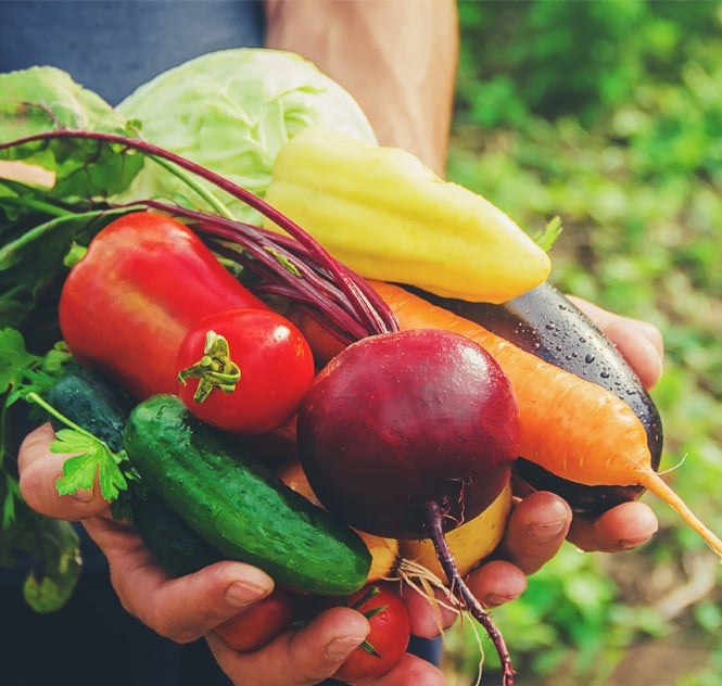 Zelenjavni vitamini - zelenjava