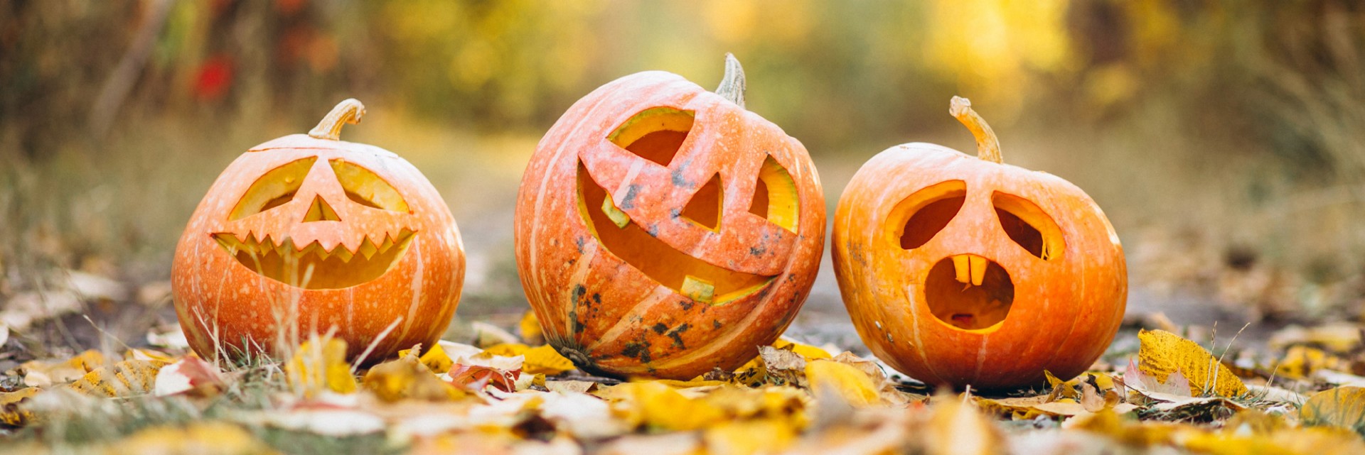 Noč čarovnic - Halloween Noč čarovnic - Halloween, izrezljane buče