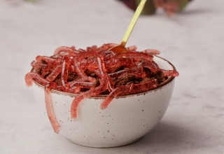 Recepti za noč čarovnic, Skleda črvičkov