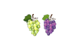 Grozdje ikona