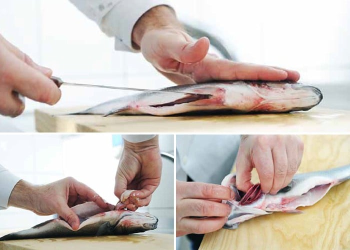 Sparova ribarnica, čiščenje rib, predpriprava rib, odstranjevanje drobovine