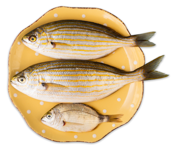 Sparova ribarnica, ribe in morski sadeži, zakaj je  dobro jesti ribe