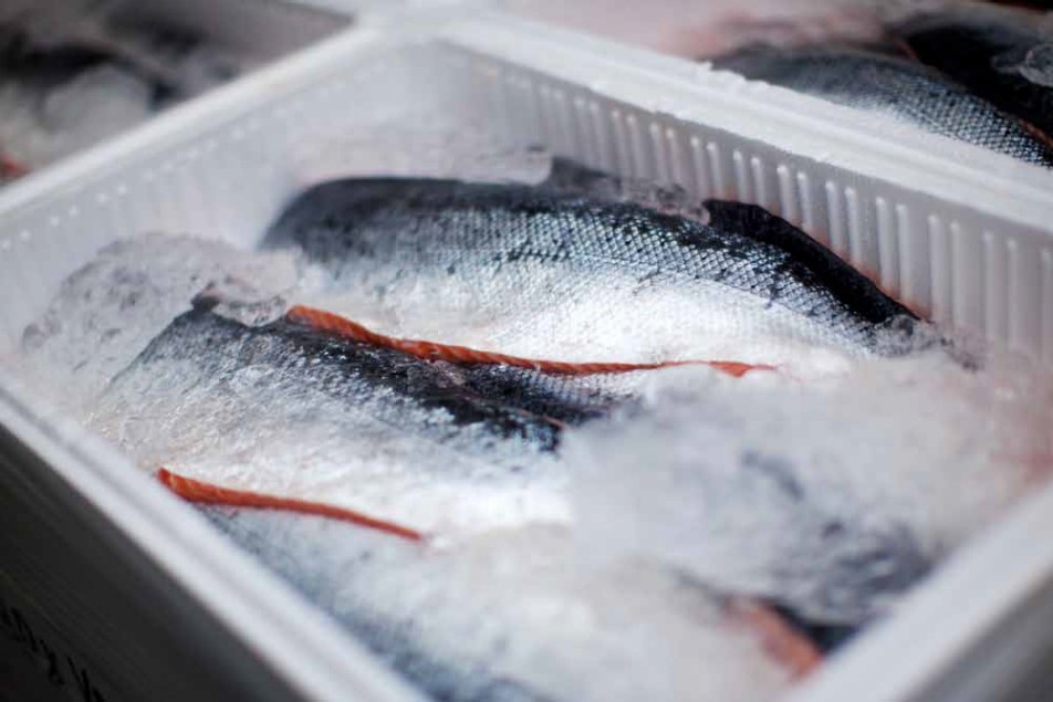 Sparova ribarnica, Nakup in shranjevanje rib v trgovini in doma