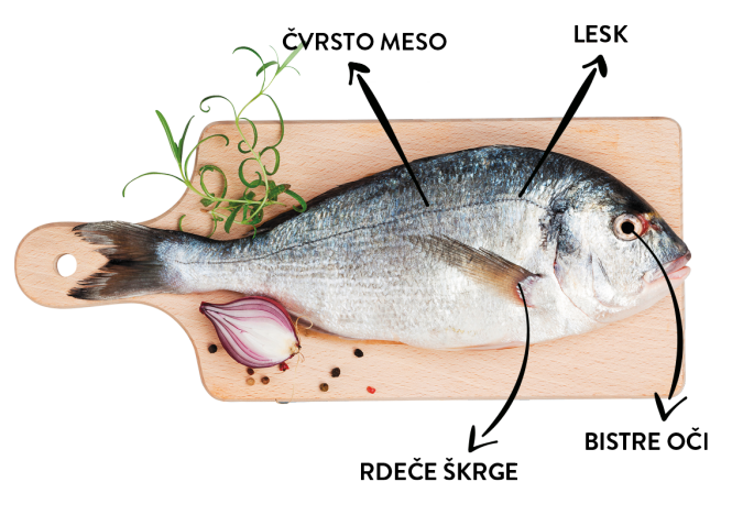 Ali prepoznate svežo ribo