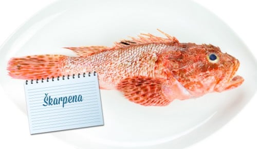 Sparova ribarnica, sveže ribe in morski sadeži, Škarpena
