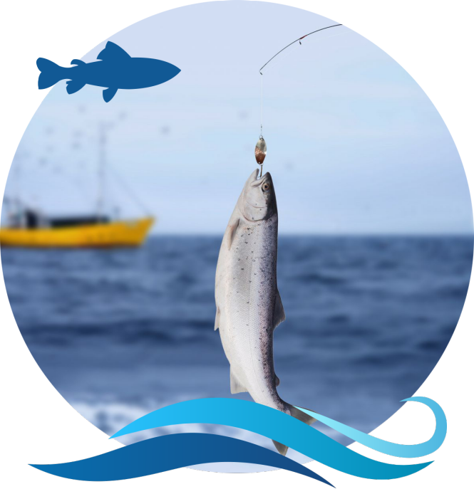 Sparova ribarnica, ribe in morski sadeži akcija, sveže ulovljene ribe