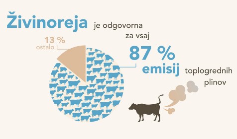 Veganski kotiček, veganska prehrana, prednosti veganstva