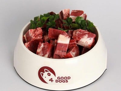Good4Dogs, surova hrana za pse, Branko in Radojka Merhar
