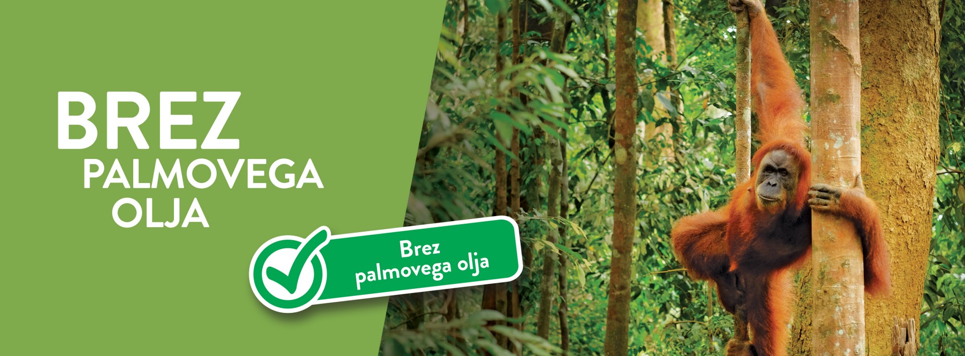 SPAR - Brez palmovega olja SPAR - Brez palmovega olja
