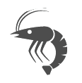 Rakci