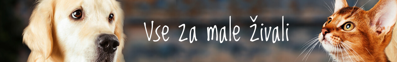 male-zivali-1280x200-2.jpg